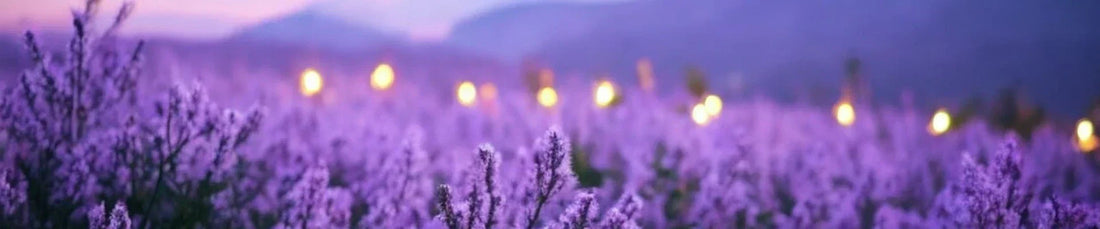 Bougie artisanale naturelle parfumée