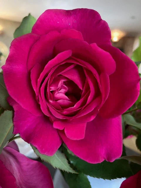 Bougie artisanale naturelle parfum de Grasse