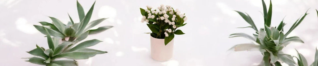 Comment réutiliser vos pots à bougie ?