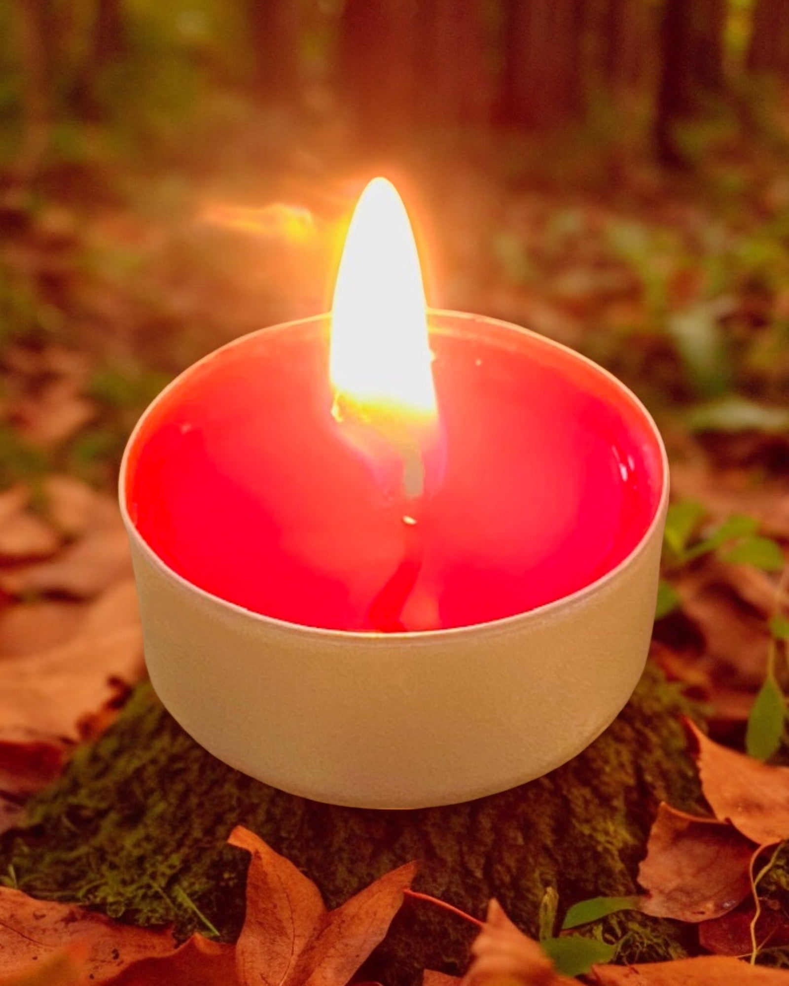 Bougie chauffe plat, contenant en aluminium, senteur Balade en Forêt