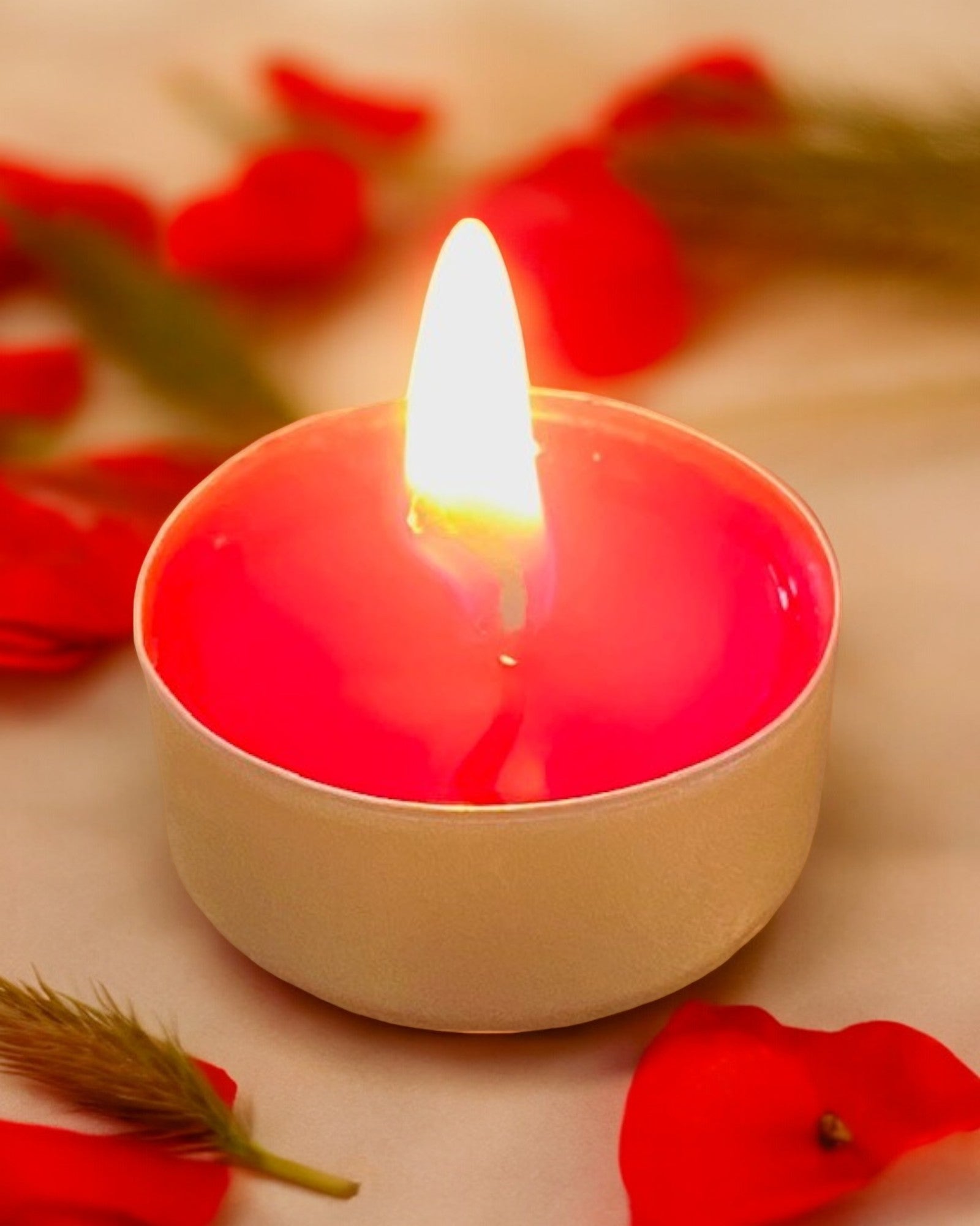 Bougie chauffe plat, contenant en aluminium, senteur Rose Sauvage